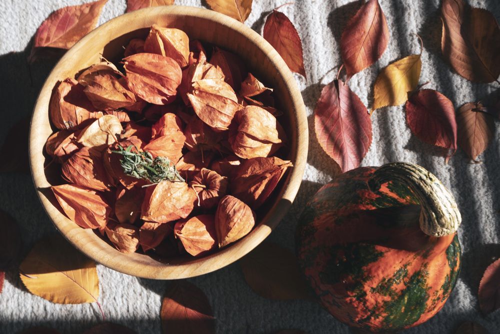 Bowl of physalis fruit in bowl on picnic table with fall leaves