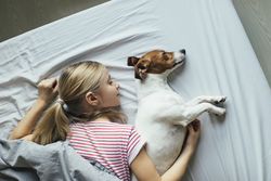 Dog and girl with their eyes closed nap on the bed together