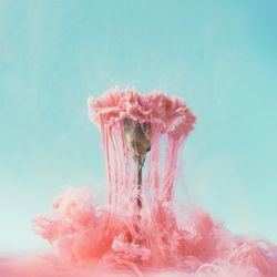 Pink carnation flower with pastel ink