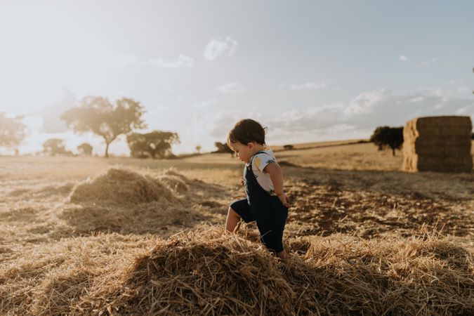 Cute boy climbing on hay at magic hour