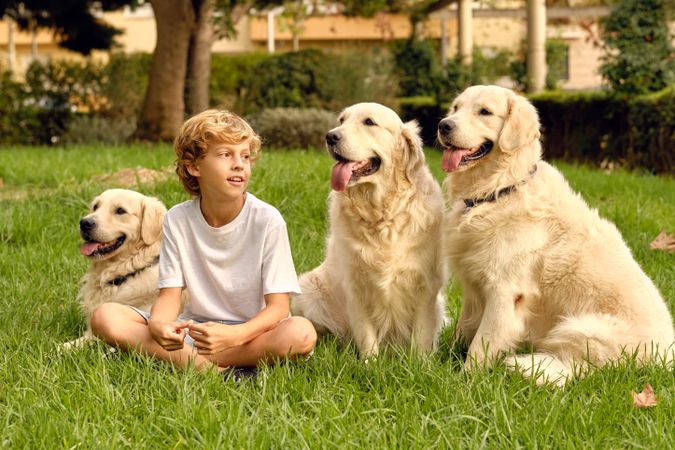 Boy with pack of dogs on lawn