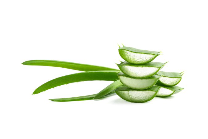 Aloe vera slices isolated on studio background. Herbal medicine