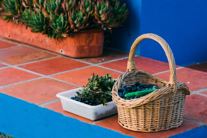 Basket and tray with olives
