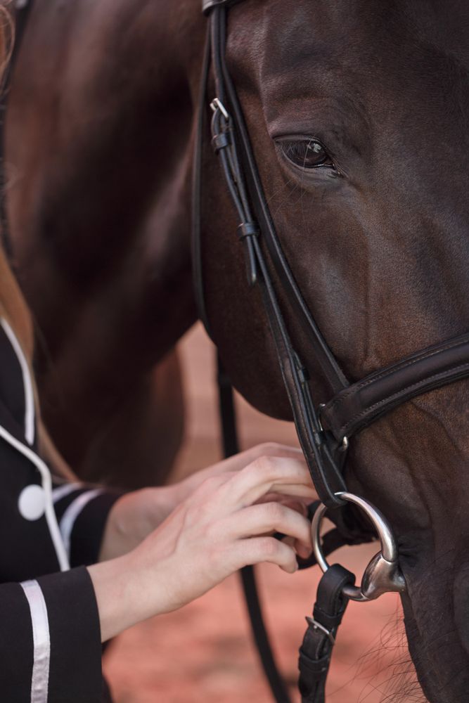 Hands fix bridle in a close-up shot