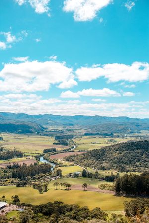 Green trees and mountains under blue sky
