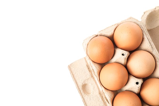 Brown chicken eggs in carton box isolated on blank background. top view