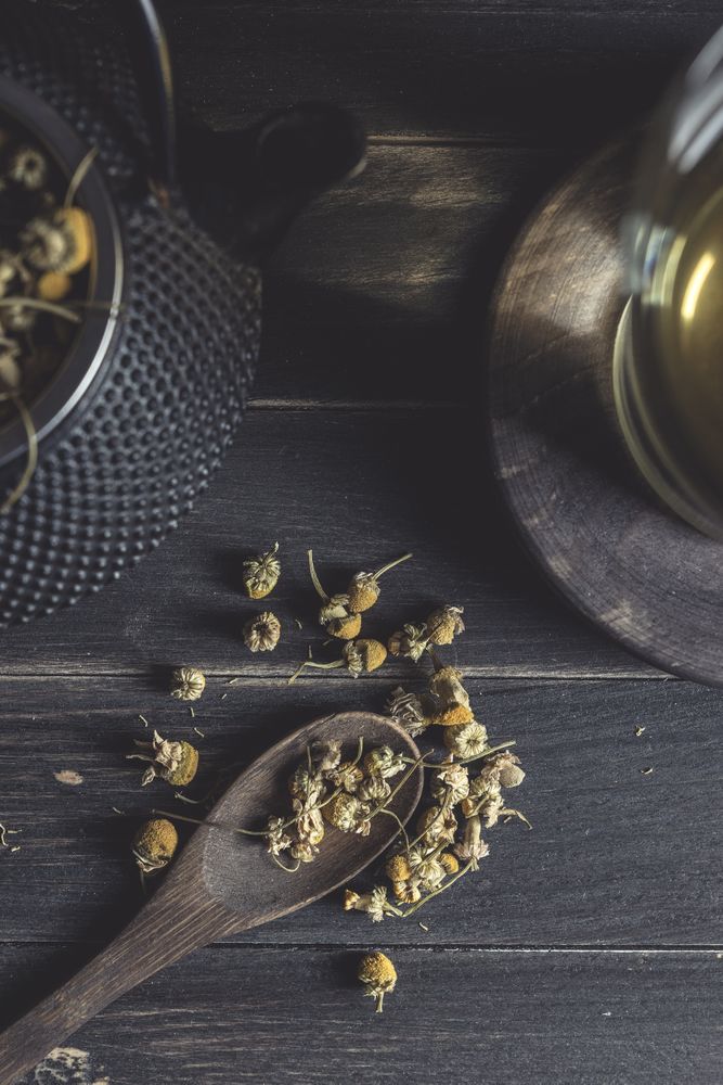 Dried chamomile for herbal tea