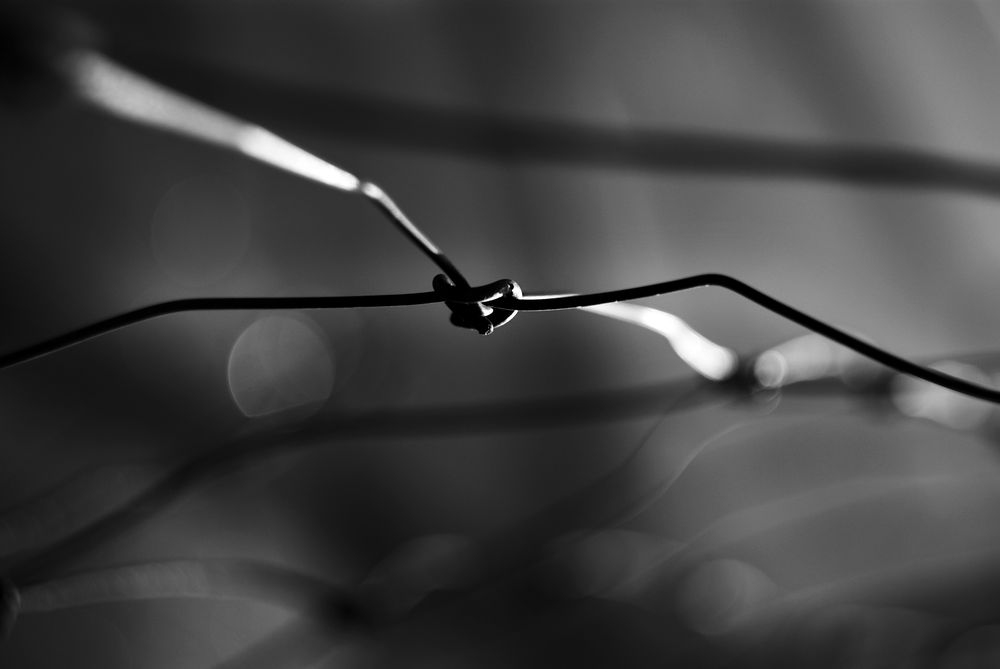 Tense barbed wire