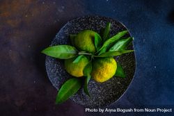 Top view of fresh green tangerines in grey ceramic bowl with space for text 4ZgN3b