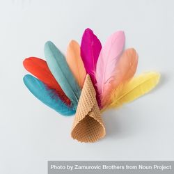 Colorful feathers with waffle cone on light background 0vkOd5