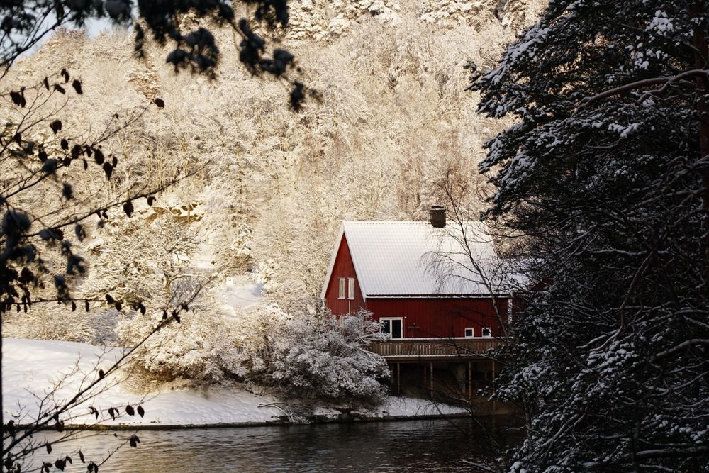 Lonely house in snowy forest on riverside