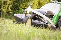 Lawnmower in the garden cutting lawn