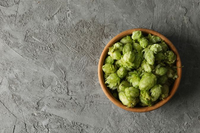 Wooden bowl with hop on gray background