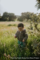 Toddler in a field of tall grass 5krJD0