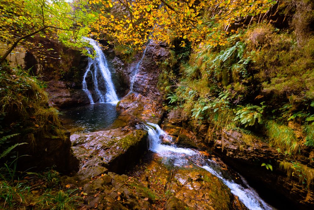 Small river and waterfall flowing in green dark beautiful forest.