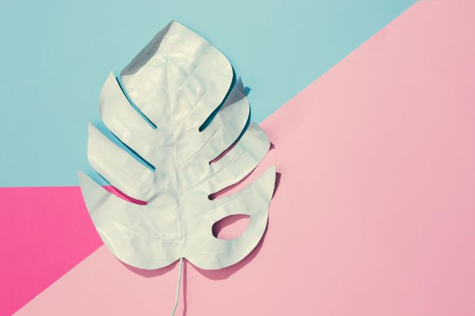 Tropical leaf on geometric pastel pink and blue background