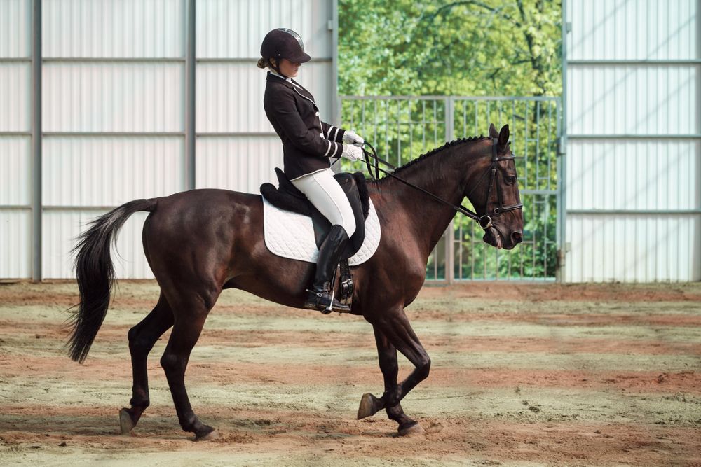 Woman riding show horse