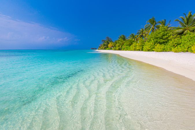 Landscape shot of crystal clear waters coming up on a tropical beach with palm trees
