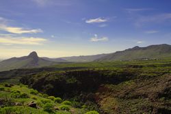 Green trees on mountain under blue sky
