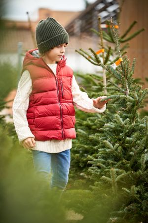 Trendy little boy touching fir trees during winter holidays