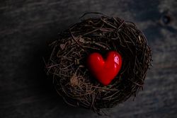 Red ornament in dark bird's nest