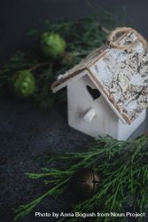 Christmas holiday concept of holiday bird house with branch 56O3Y4