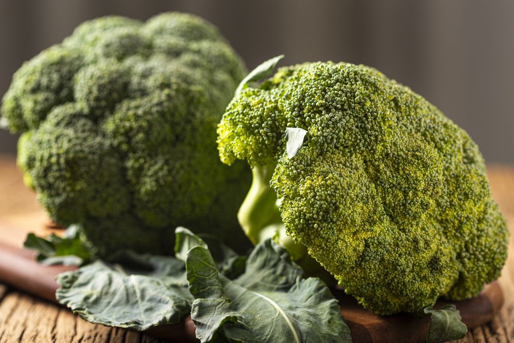 Green organic broccoli on the table.