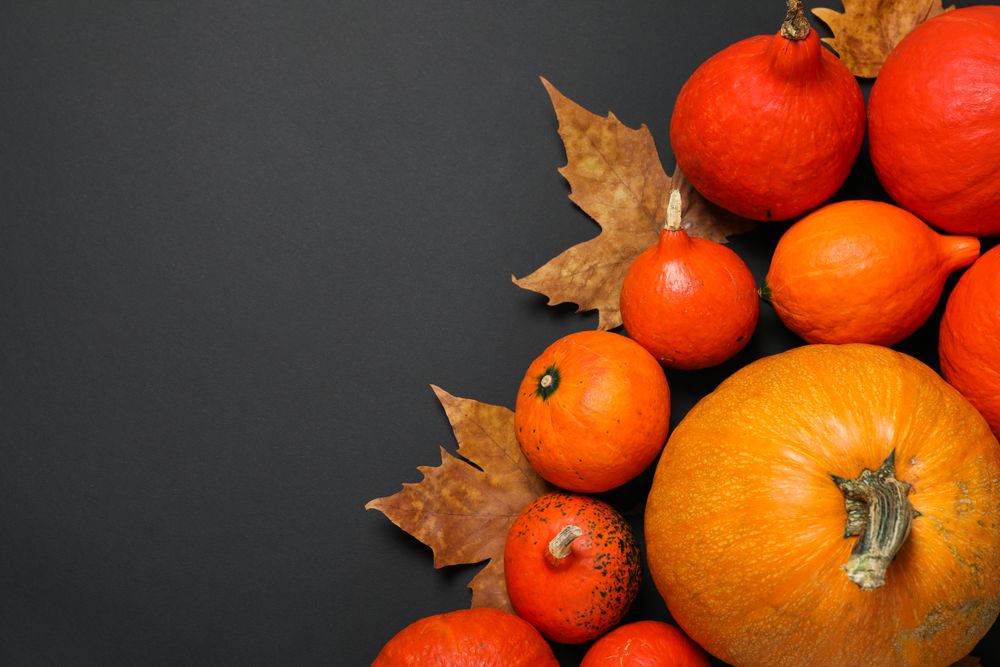 Composition with pumpkins and leaves on dark background, copy space