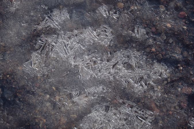 Fragile ice on puddle of water
