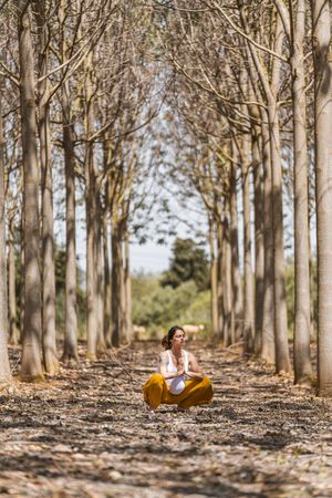 Calm adult pregnant woman practicing yoga while sitting in pose lotus on ground in park during sunny day