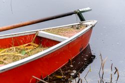 A canoe containing harvested wild rice at Rice Lake NWR in Aitkin County, Minnesota