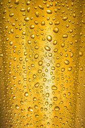 Close up of beads of water of fresh pint of beer