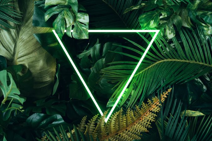 Creative fluorescent color layout made of tropical leaves with neon light square