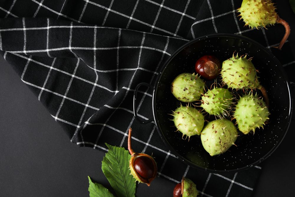 Fresh and ripe chestnuts, top view, Autumn chestnuts
