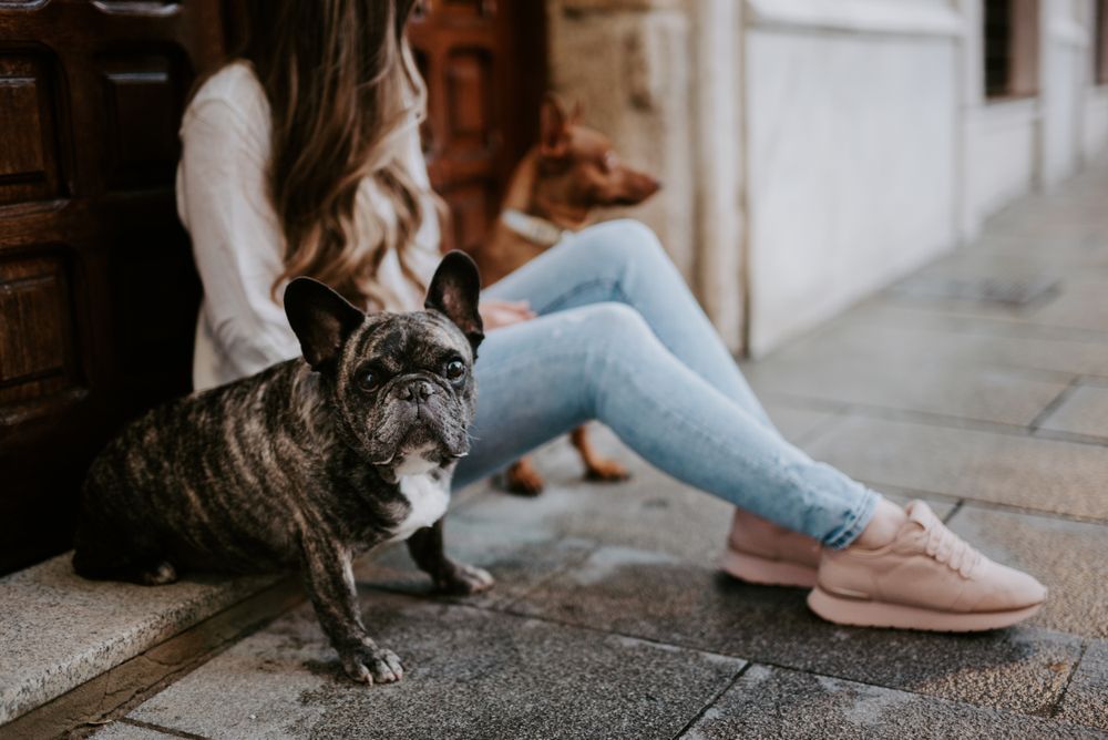 Stylish woman with dogs sitting on street