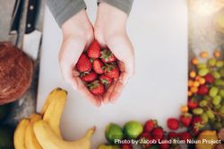 Female holding a handful of fresh strawberries 4OroZ5