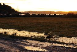 Peaceful meadow near lake at sunset