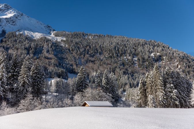 Snowy alpine scenery in the Bavarian Alps with snow-covered nature on a sunny day