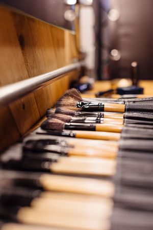 Assortment of makeup brushes arranged on table