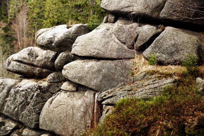 Gray stones with moss in woods