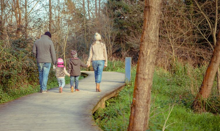 Back of family of four walking on trail in forest