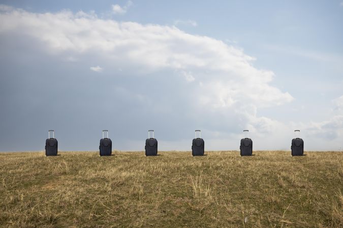 Row of suitcases in a field