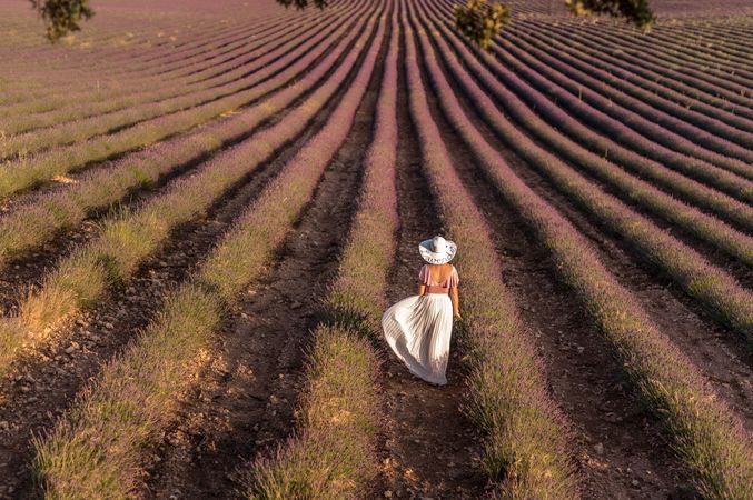 Woman standing in lavender field
