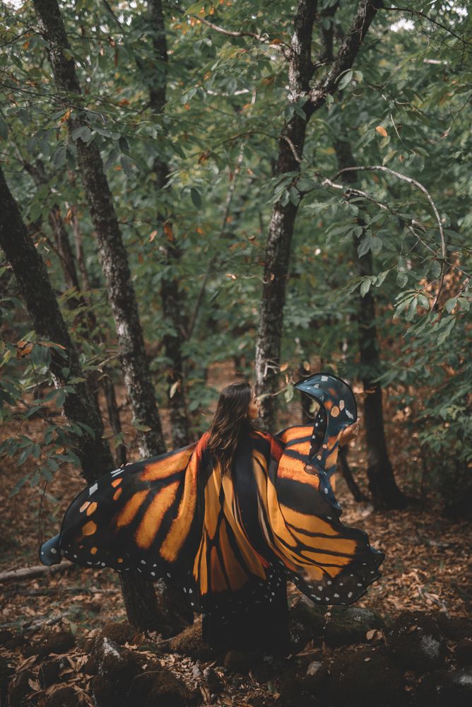 Woman in butterfly costume in forest