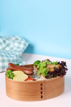 Japanese Bento Lunch Box