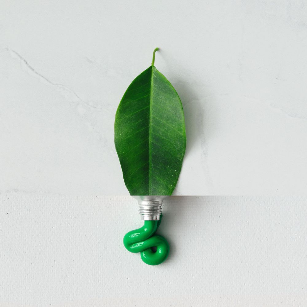 Collage made out of green leaf and paint tube