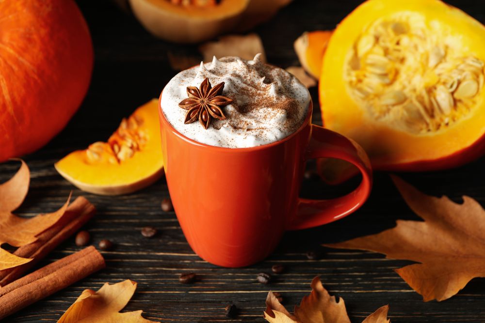 Composition with cup of pumpkin latte, cinnamon and pumpkin on wooden background