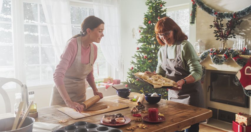 Portrait of Adult Mother and Daughter Preparing Christmas Dinner for Guests.