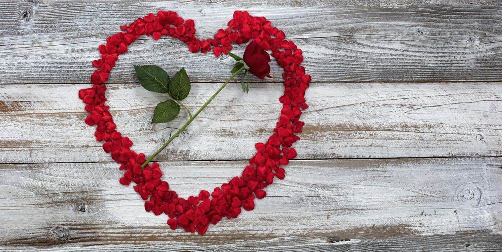 Single red rose for Valentine’s Day with tiny hearts