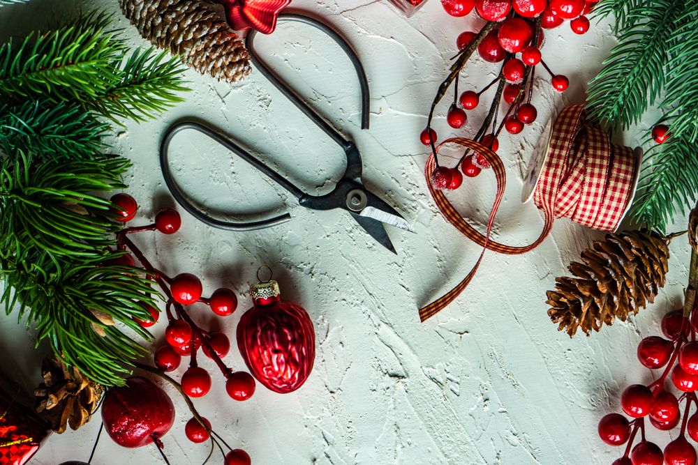 Green wintry branch with red decorations, scissors and ribbon on bright background